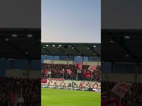 FSV Zwickau - SG Dynamo Dresden 1:2 Sachsenpokal | Support #FSVSGD #SGD #dynamo