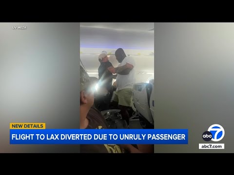 Unruly passenger yelling racist slurs restrained by man during flight to LA
