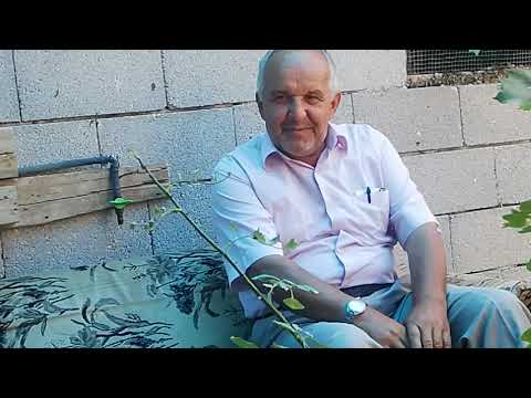 Müzisyen Özlem Ökten AKŞEHİR düğünleri Çakıllar köyü mahallesinden EMRE & SULTAN Arslan Çiftinin