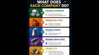 What Does Each Vedanta Company Actually Do?