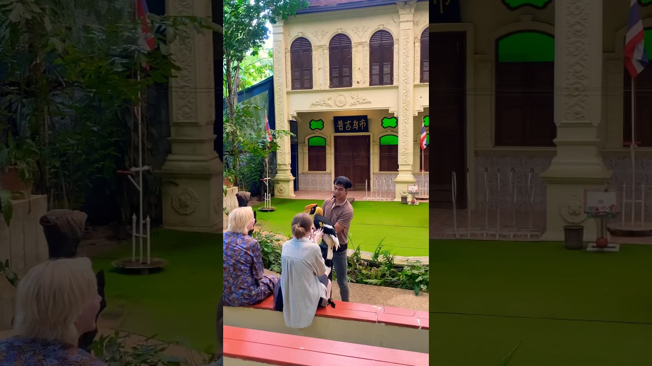 YouTube Short thumbnail