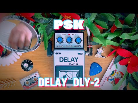 PSK Kyung Nam Co - Delay PLY2 image 5