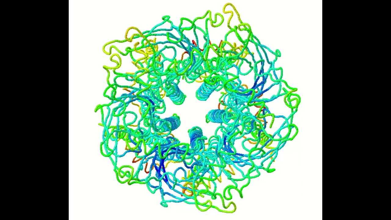 iMODS Simulation: Normal Mode Analysis on the Nicotinic Receptor (PDB: 6CNJ)