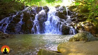 🔴 Relaxing Piano Music 24/7, Beautiful Relaxing Music, Sleep Music, Meditation Music, Study Music