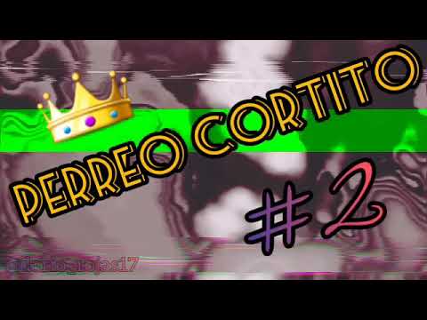 PERREO CORTITO #2 - Dj Dario official
