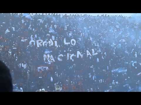 "LBDP vs Danubio - 5Â° FECHA APERTURA 2014 - RECIBIMIENTO" Barra: La Banda del Parque • Club: Nacional