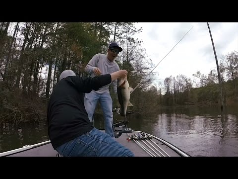 GoPro: Derek Braud - Best Catch 06.01.15 - Fish