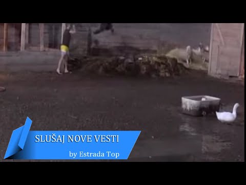 HITNA DISKVALIFIKACIJA   OVO nije smeo da uradi!