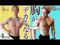 30日で大胸筋がデカくなる最強自重トレーニング【めちゃキツイ】