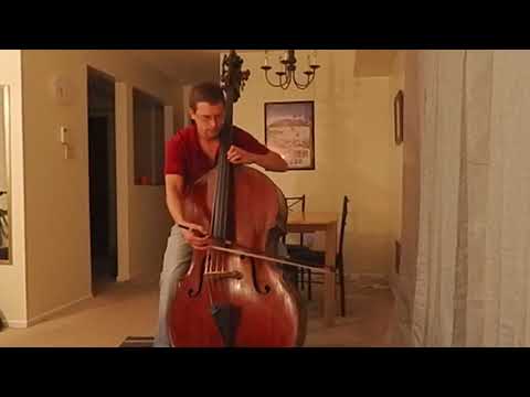 1/3/202 Bedtime With Bach - Andrew Chilcote, bass