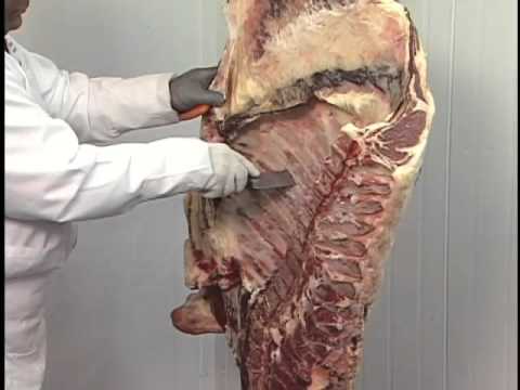 Beef Primal Cuts