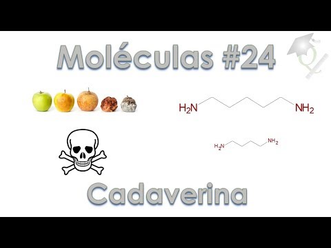 download lagu mp3 mp4 Putrescina, download lagu Putrescina gratis, unduh video klip Putrescina