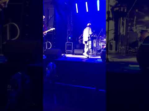 Darmozjady! KONCERT 26.07.2019, PIWNA PRZYSTAN, ORZEL W KORONIE