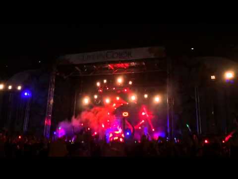 Chuckie's intro @ Life in Color Festival Miami 2013 (HQ)