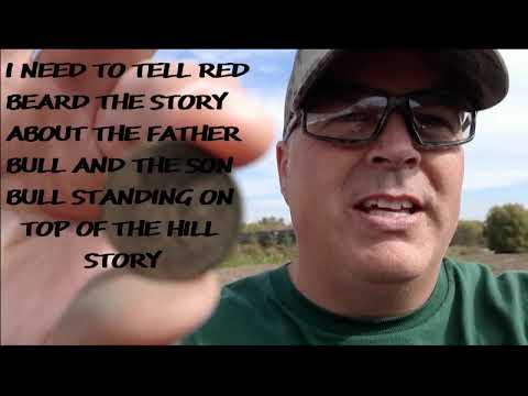 I thought my 1941 penny would be the find of the day....NOPE!!