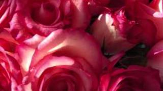 Sing Me an Old Fashioned Song Music Video