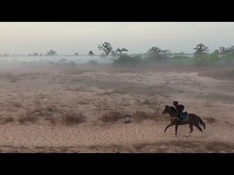 塞內加爾騎師為榮譽而戰 (The Senegalese jockey racing for glory)