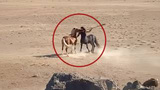 Drone captura o que ninguém deveria ter visto