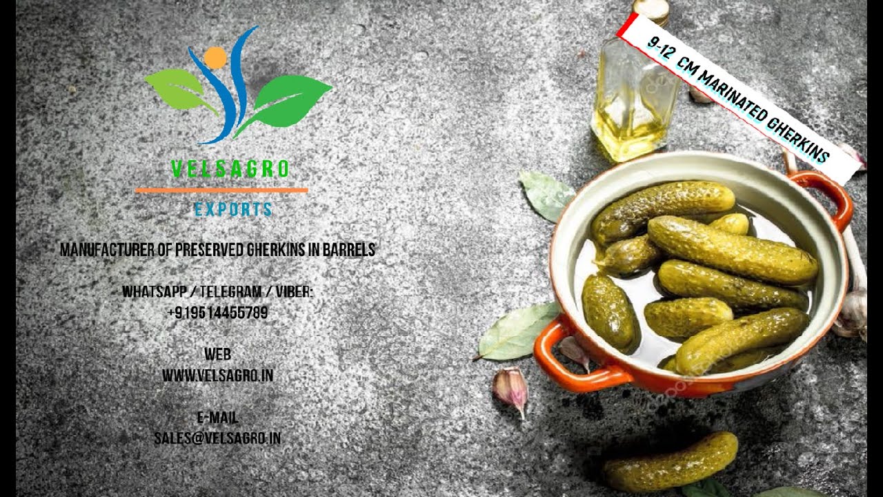 Velsagro Exports | Preserved Gherkins | 9-12 cm AA in Barrels | Manufacturer India