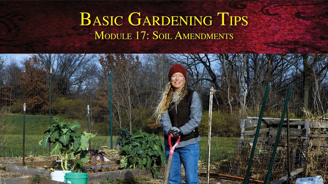 Basic Gardening Tips Module 3 Preparing the soil for young plants