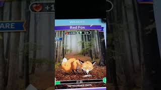 Watch how Wordscapes Wildlife finish now option eats your coins.