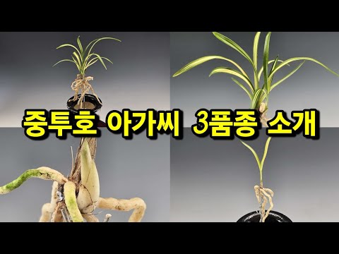 유튜브 썸네일