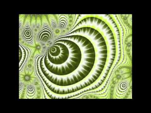 Quebird - Owl Vision