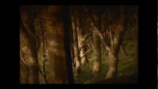 Mojave 3 | Bluebird of Happiness