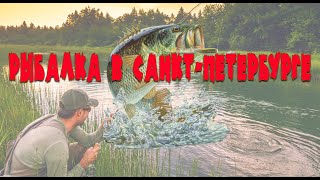 Рыбалка спб и лен.обл форум