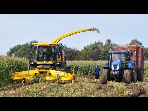Mais hakselen 2010 - Loonwerk Vanslambrouck - New Holland FR9080