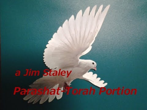 50b Parashat Ki Tavo   2015 Discovering New Life From the Depths of Despair   Jim Staley