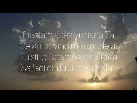 Mainile Tale de Olar - Iemima Anton