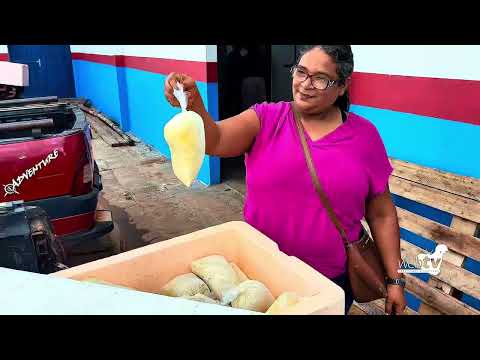 Produção de Cupuaçu em Presidente Figueiredo 