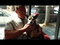 Rocket Dog Rescue Commercial James Lizotte