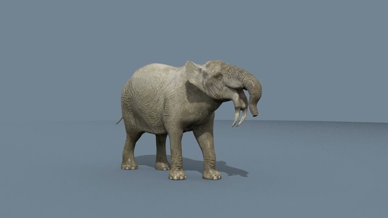 Deinotherium Thraceiensis HD - animazione 3D Modello 3D
