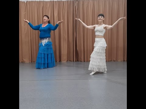 Mostafa Amr Habib Hayati