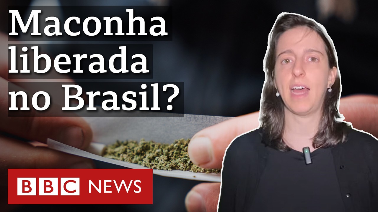 Maconha liberada? O que muda após STF descriminalizar porte