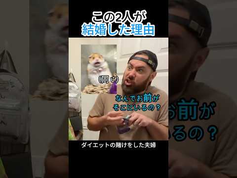 ダイエット中なのに…隠れて食べたらバレたww