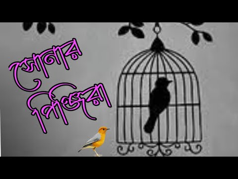 সোনার পিঞ্জিরার ঘরে যতন কইরা রাখতাম তোরে। Sunar O Pinjirar Gore। Bangla Sad Song 2022 বাংলা গান