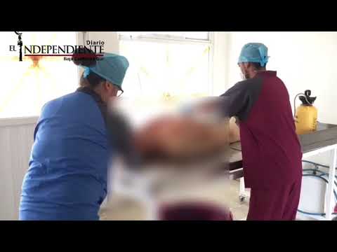 ¿Y tu sabes como se preparan a nuestro seres queridos para el ultimo Adios?