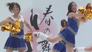 KANAZAWA HIROSAKA CHEERDANCE