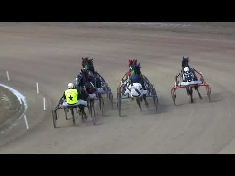 2021.02.13. 07. futam - 2021. ÉVI KINCSEM PARK KUPA I. FUTAMA HENDIKEP