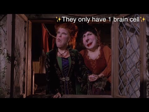 The Sanderson sisters being iconic for more than 3 minutes straight
