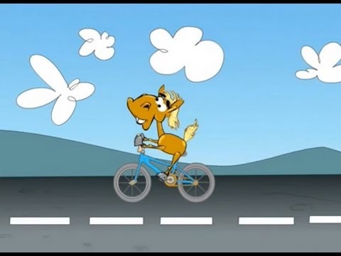 KOŃ RAFAŁ - BEREK, BARANY, ROWEREK