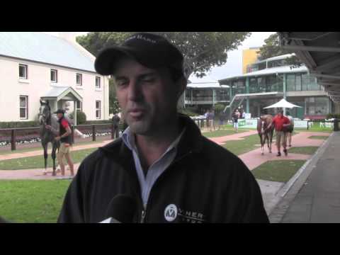 Vinery Stud &Stallion Parade at the 2016 Classic Sale