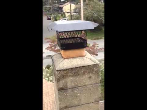 Chimney Cap Installed To Keep Out Nuisance Wildlife in Neptune City, NJ