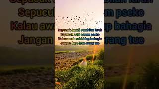 Download lagu Pantun bahasa Jambi #shorts mp3