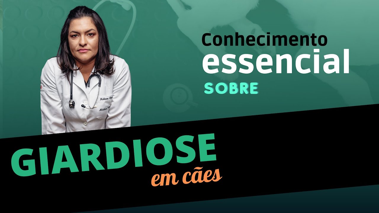 Conhecimento essencial sobre giardiose em cães!