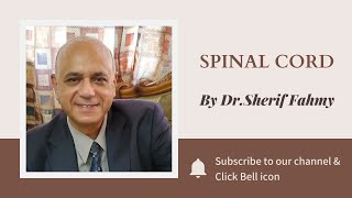 Dr. Sherif Fahmy - Spinal cord