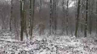 a different place - brett anderson